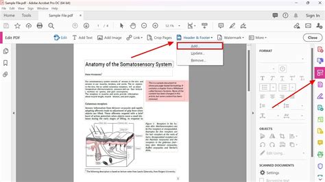 how to add page numbers in adobe acrobat pro 9|How to Add Page Numbers to PDF. .